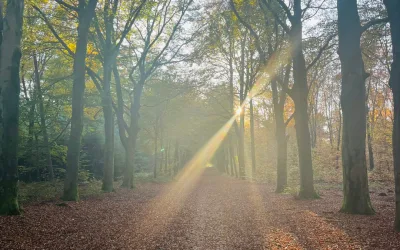 𓆰 Verlof overbrugging? Laat mij de rust terugbrengen